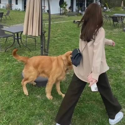 马路对面的房子 封面